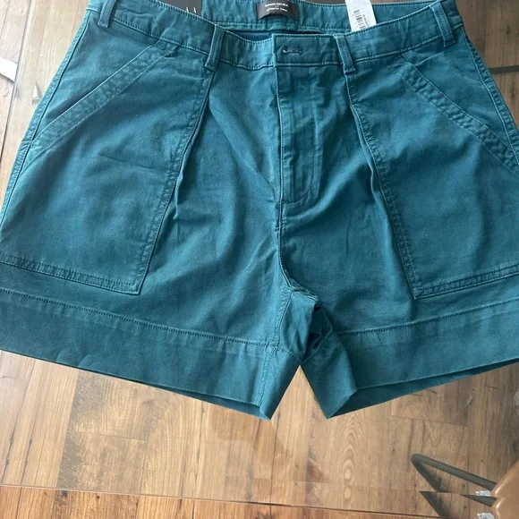 Banana Republic Teal Chino Utility Shorts - Picture 4 of 11
